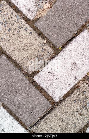 Closeup of sidewalk paved with rectangular white and gray tiles in top view. Stock Photo