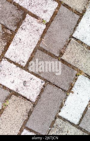 Closeup of sidewalk paved with rectangular white and gray tiles in top view. Stock Photo