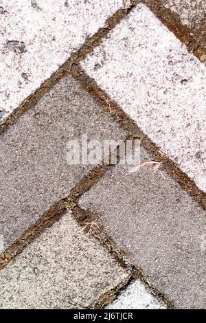 Closeup of sidewalk paved with rectangular white and gray tiles in top view. Stock Photo