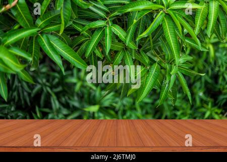 A empty wooden table in front of the mango tree with sunlight. Stock Photo