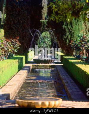 PATIO DEL CIPRES DE LA SULTANA-. Location: ALHAMBRA-GENERALIFE. GRANADA. SPAIN. Stock Photo