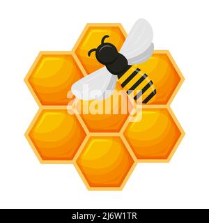 Bee combs with honey and bee. A natural organic beekeeping product. Color vector illustration in cartoon flat style. Isolated on a white background. Stock Vector