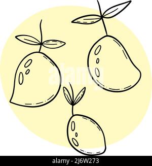 Lemons doodle style in black ink outline. Stock Vector