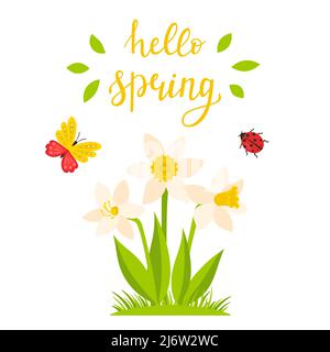 A daffodil bush and a calligraphic inscription-Hello spring. Hand lettering. The concept of a spring, summer wing with a botanical illustration in a c Stock Vector