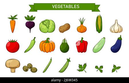 A set of colored linear icons for Vegetables, mushrooms, olives. Design elements in a flat style with a stroke. Hand drawn and isolated on a white bac Stock Vector