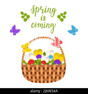 Wicker basket with spring and summer flowers, pansies, leaves and butterflies. The words Spring is coming. Bright, botanical color vector illustration Stock Vector