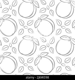 Seamless pattern with apricots, peaches and leaves. Black and white hand-drawn linear elements are isolated on a transparent background. For the desig Stock Vector