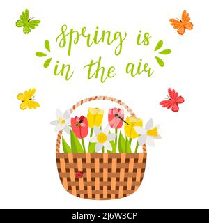 Wicker basket with spring flowers, tulips, daffodils, dragonfly, bee, butterflies. The words Spring is in the air. Bright color vector illustration, p Stock Vector