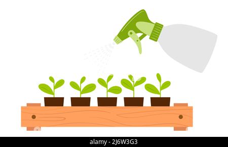 Spraying seedling cups from a spray bottle. Moistening of foliage. Plant care. Botanical vector illustration in cartoon flat style, isolated on white Stock Vector