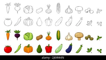 A set of vegetables. Black-and-white linear elements and colored ones with an outline. A collection of root vegetables, mushrooms and greens for food Stock Vector