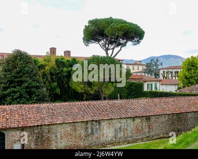 Palazzo Pfanner and gardens as seen from the Renaissance wall surrounding the city of Lucca, Italy. Stock Photo