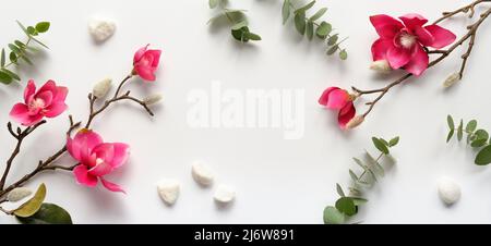 Pink magnolia flowers on twigs, fresh eucalyptus leaves. Blank pink card with grey envelope. Stock Photo