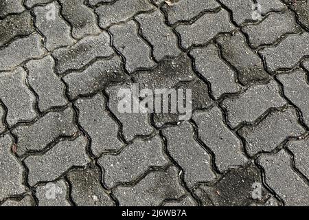 Patterned paving blocks, cement brick floor Stock Photo