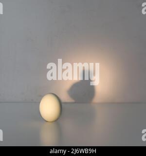 Egg casting shadow of chicken Stock Photo