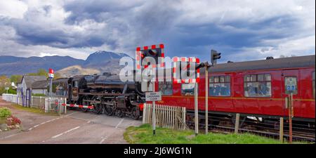 JACOBITE STEAM TRAIN CROSSING THE ROAD AT CORPACH STATION EN ROUTE TO FORT WILLIAM FROM MALLAIG Stock Photo