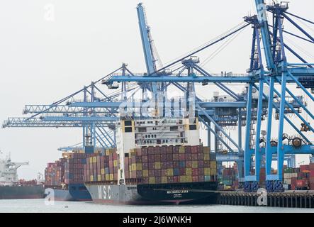 KENYA, Mombasa, seaport, CT-1 Container terminal , MSC Maria Laura container vessel reg. Panama , African Continental Free Trade Area AfCFTA agreement Stock Photo