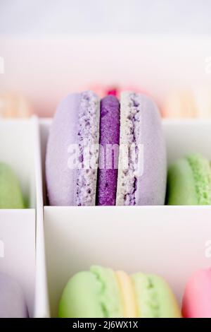 Box with purple and green sweet macarons, copy space Stock Photo