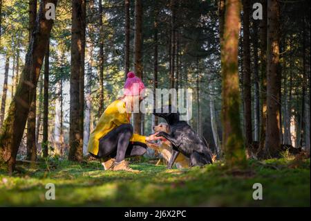 Beautiful image of friendship between human and dog - young woman in bright yellow sweater kneeling down with her two dogs placing their paws in her h Stock Photo