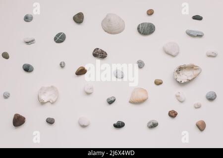 Sea shells pattern on white background. Summer concept. Flat lay, top view. Stock Photo
