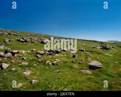 View SE of a Bronze Age enclosed settlement containing 6 hut circles on the W slopes of Little Trowlesworthy Tor, Dartmoor, Devon, England, UK. Stock Photo