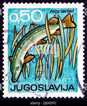 YUGOSLAVIA - CIRCA 1967: a stamp printed in the Yugoslavia shows Pike, Esox Lucius, Fish, International Fishing and Hunting Exposition and Fair, Novi Stock Photo