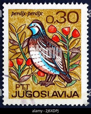 YUGOSLAVIA - CIRCA 1967: a stamp printed in the Yugoslavia shows Partridge, Perdix Perdix, Bird, International Fishing and Hunting Exposition and Fair Stock Photo