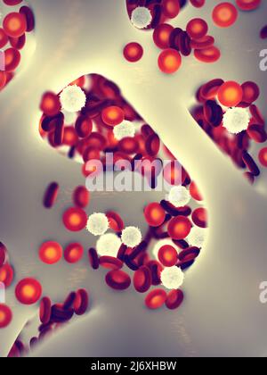 Red and white blood cells with platelets isometric view 3d illustration ...