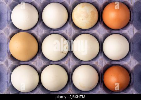 close up photograph of twelve free rang chicken eggs shot from above Stock Photo