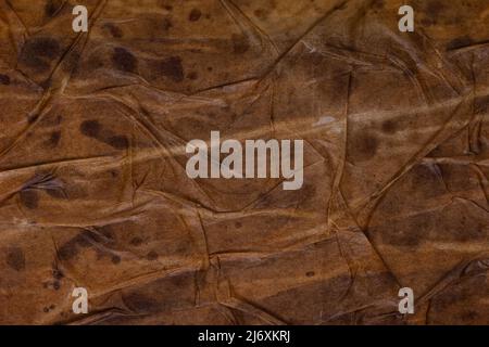 Textured dirty wrinkled brown old paper background. Horizontal background for design, closeup Stock Photo