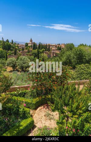 Gardens of the Alhambra in the Andalusian city of Granada in Spain. Stock Photo