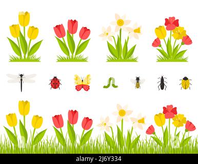 Garden spring flowers. A bush of tulips, daffodils, poppies. Flowers in the grass, meadow. Collection of insects. Botanical design elements in a carto Stock Vector