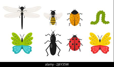 Collection of insects. Butterfly, beetle, bee, caterpillar, ladybug, dragonfly. Summer, spring cute animals in cartoon flat style. Isolated on a white Stock Vector