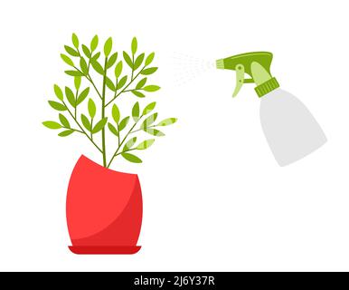Spraying a house plant with a spray gun. Moistening of foliage. Care for home flowers. Botanical vector illustration in cartoon flat style, isolated o Stock Vector