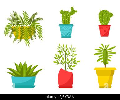 Collection of home plants in pots. Deciduous plants, succulents in flower pots. Cartoon flat style. Color vector illustrations isolated on a white bac Stock Vector