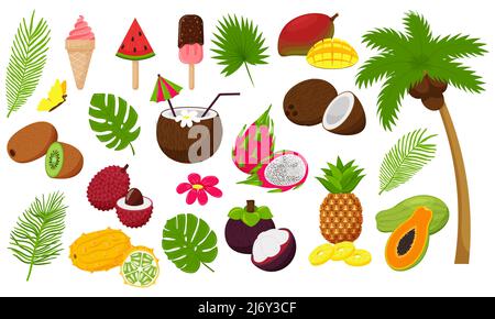 Set of tropical leaves and exotic fruits. Palm tree with coconut and ice cream, cocktail. Decorative elements in a flat cartoon style for summer, vaca Stock Vector