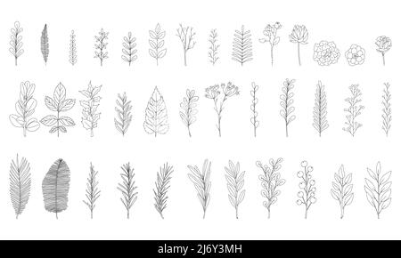 A set of 37 hand-drawn twigs with leaves. Doodle style. Botanical, plant elements for design of postcards, invitations, creating patterned brushes. Is Stock Vector