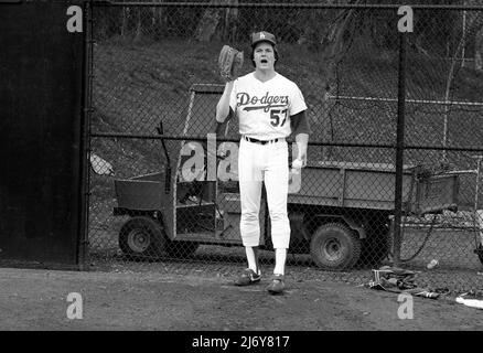 Steve deals howe baseball