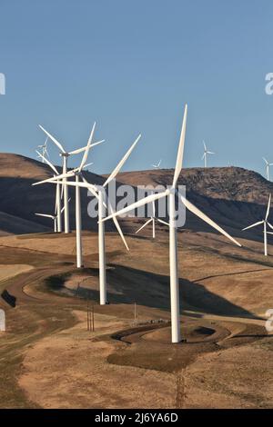 Wind Farm, native flora, overlooking Columbia River Gorge, pm light, Washington. Stock Photo