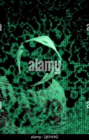 A hacker behind computer code Stock Photo