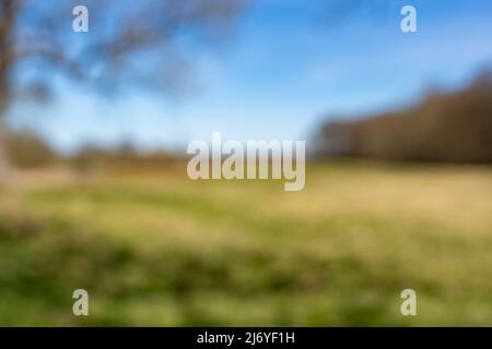 Blurry background of a beautiful landscape. A natural scene is out of focus to serve as a backdrop. Defocused rural environment. Abstract scenery. Stock Photo