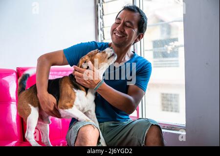 A man petting his dog beagle, pet friendly love concept Stock Photo