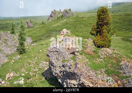 Stone cliffs on the mountainside. At the top grows a cedar tree. Seminsky mountain range in Altai, Siberia. Stock Photo
