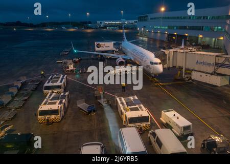 Air New Zealand   planes on the terminal at Auckland International Airport, Auckland, New Zealand. May 15 2016 Stock Photo