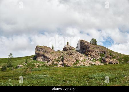 Stones and thickets of dwarf birch Betula exilis on Altai highlands. Seminsky mountain range. Stock Photo