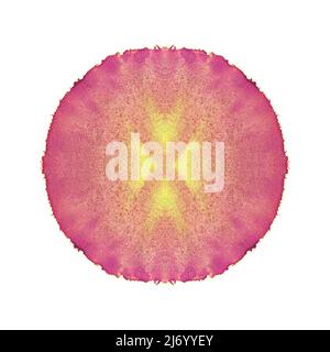 Magenta and yellow color watercolor round circle texture splash isolated on white background with uneven edges. Blank multicolor painted canvas. Abstr Stock Photo