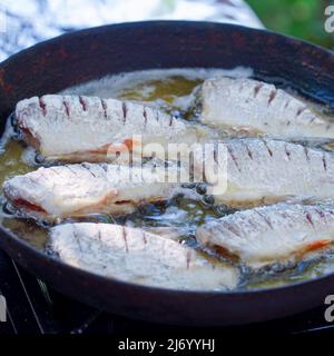 https://l450v.alamy.com/450v/2j6yyhj/a-small-river-fish-rolled-in-flour-is-fried-in-oil-in-a-frying-pan-2j6yyhj.jpg