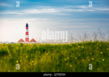 photography of the most famous red and white striped lighthouse behind a lush meadow nearby sankt peter ording, called westerhever lighthouse. Stock Photo