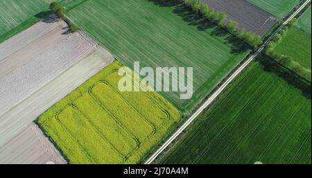 Aerial View Green Spring Field Landscape With Trails Lines. Top View Of Field With Growing Young Green Grass And Wheat. Drone View. Bird's Eye View Stock Photo