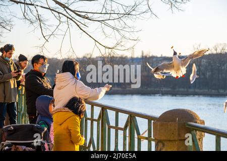 Prague, Czech Republic - March 9, 2022: People feed birds at the Naplavka riverbank in Prague Stock Photo