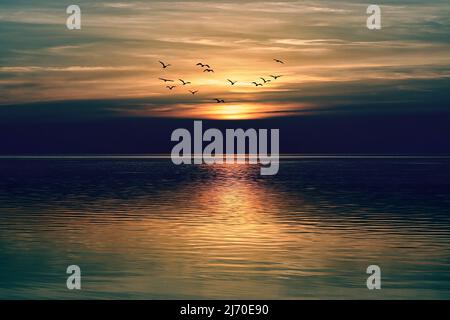 Dramatic sunset over calm sea with flying birds Stock Photo